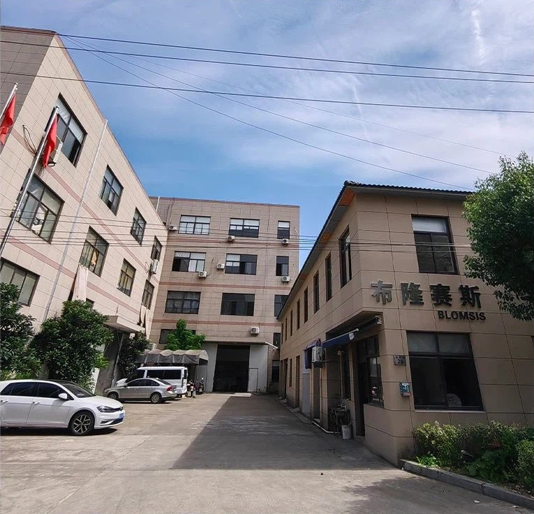 Ningbo Blomsis Schuhe Co., Ltd.